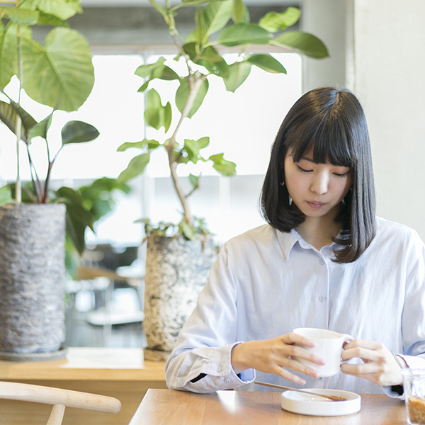 深蒸し茶と相性の良いお茶請けは？